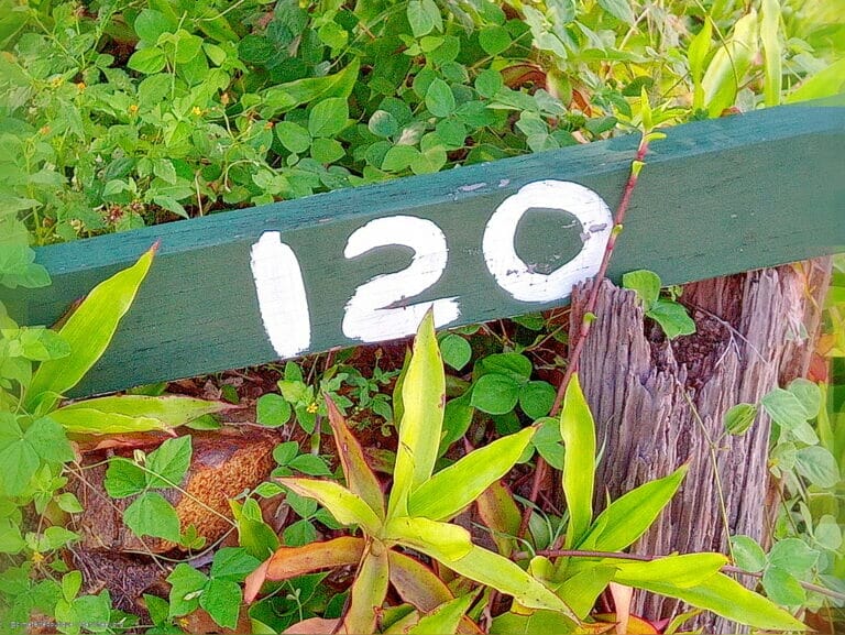 Time is but a Dimension 