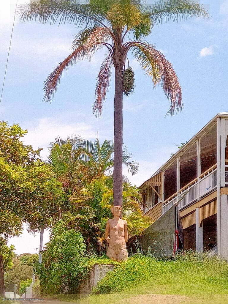 Time is but a Dimension 