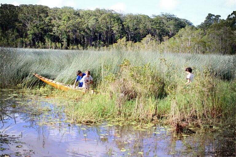 Bunya Festival 