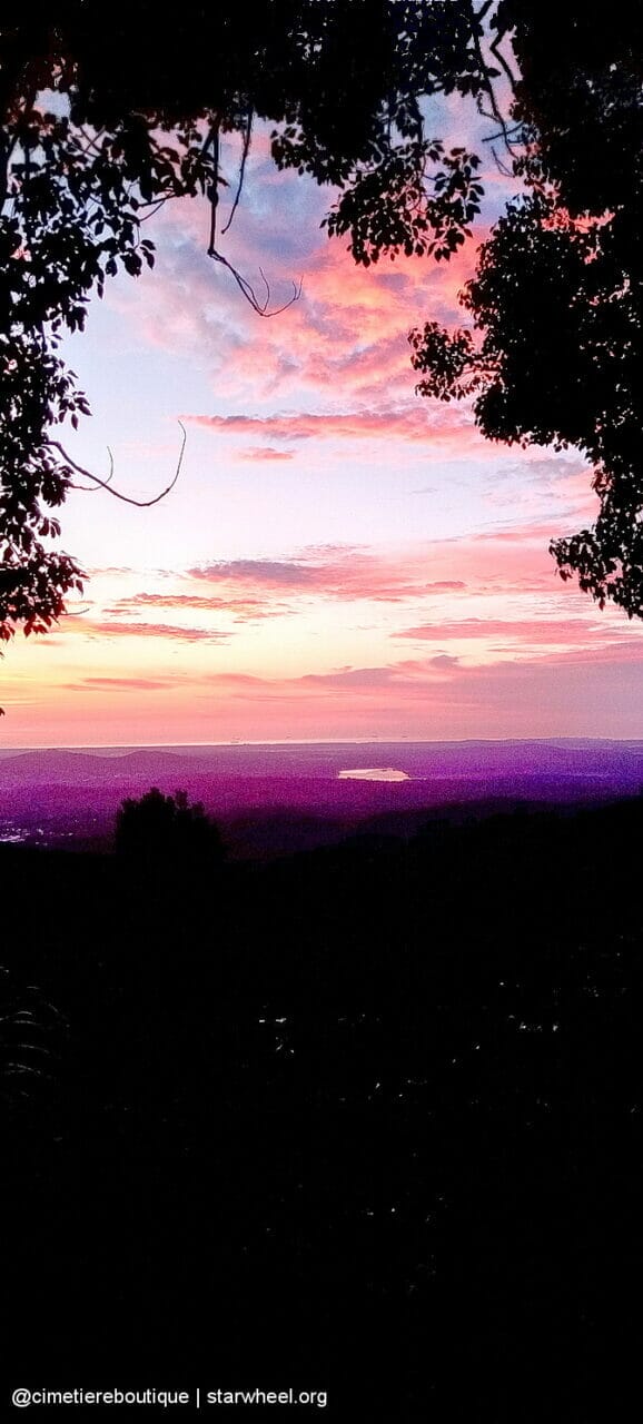 Čudovita jutra, rahlo vlažna 