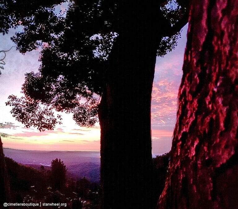 Čudovita jutra, rahlo vlažna 