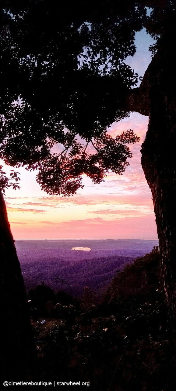 Čudovita jutra, rahlo vlažna 