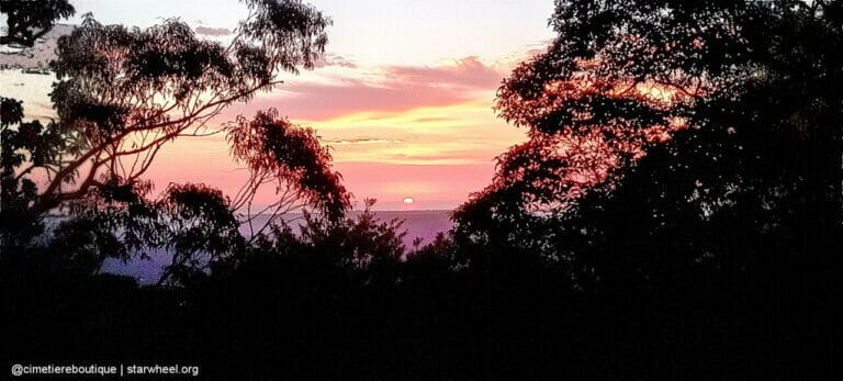 Čudovita jutra, rahlo vlažna 