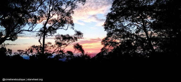 Čudovita jutra, rahlo vlažna 