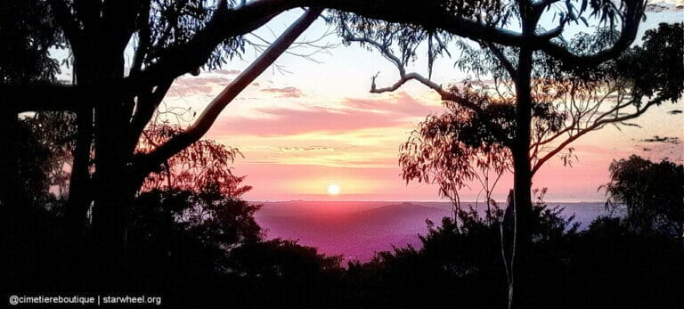 Čudovita jutra, rahlo vlažna 