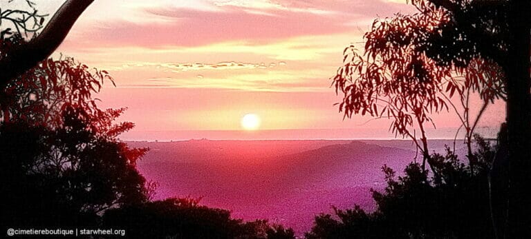 Čudovita jutra, rahlo vlažna 