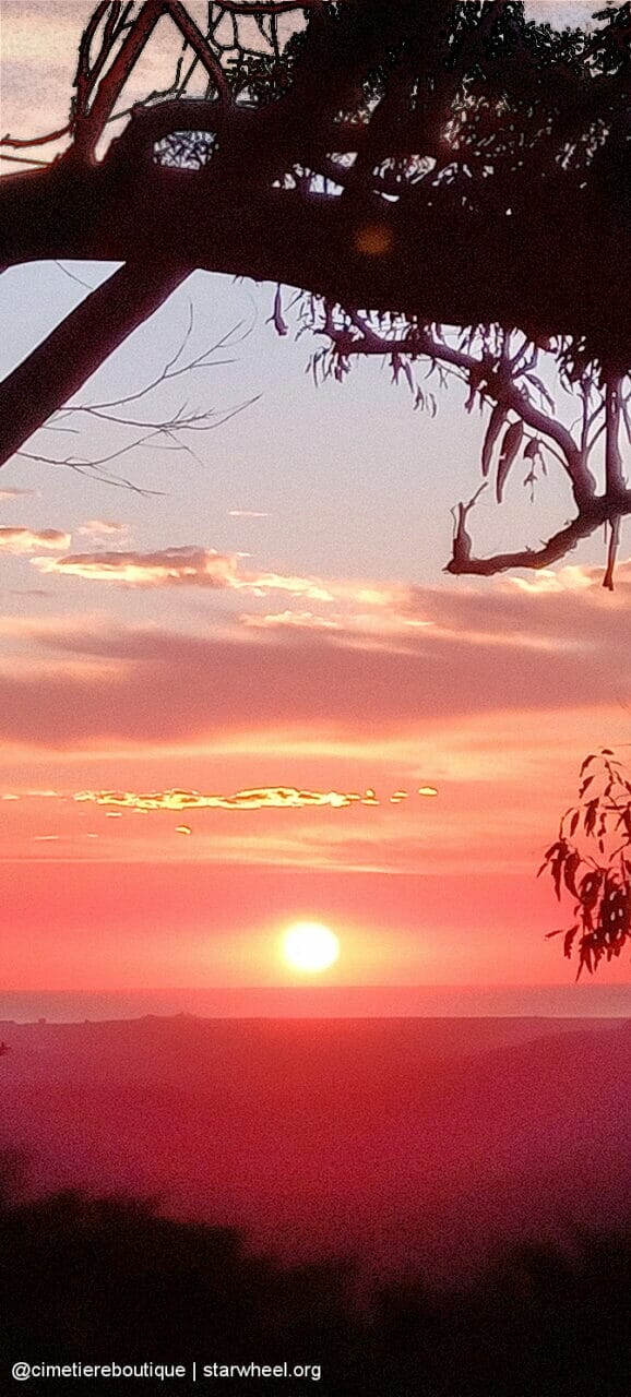 Čudovita jutra, rahlo vlažna 