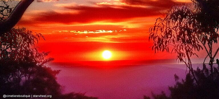 Čudovita jutra, rahlo vlažna 