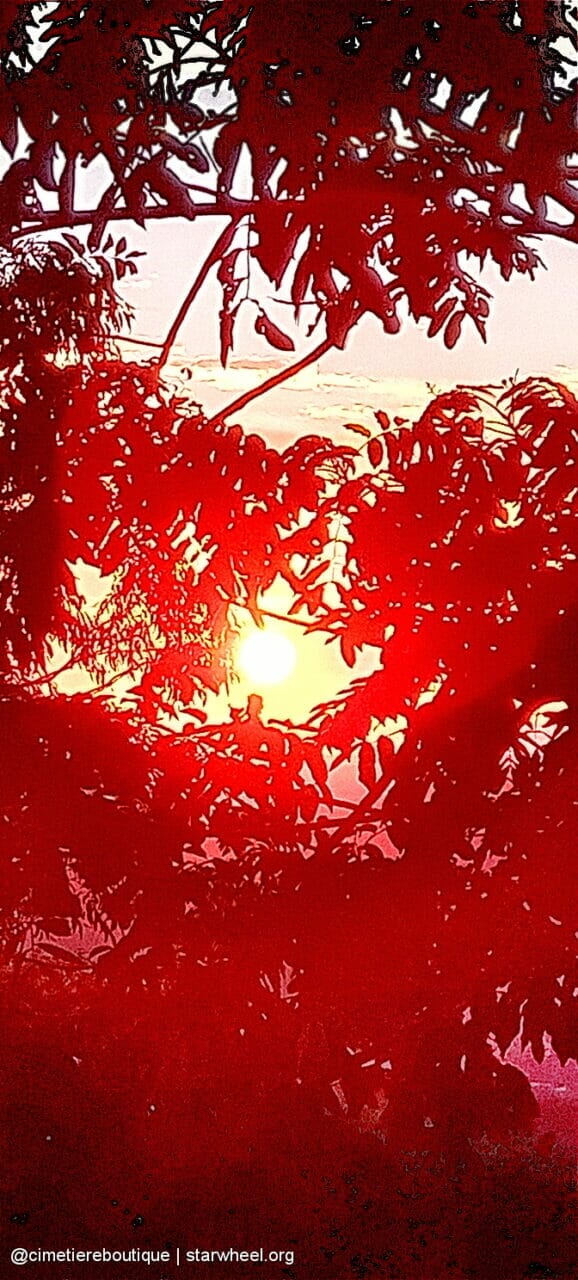 Čudovita jutra, rahlo vlažna 