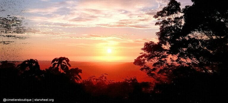 Čudovita jutra, rahlo vlažna 