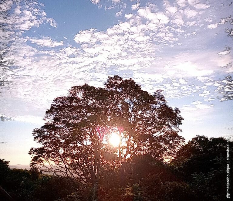 Čudovita jutra, rahlo vlažna 