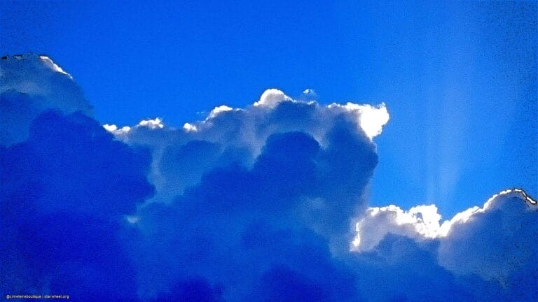 Kurbis Ol, To Die For 