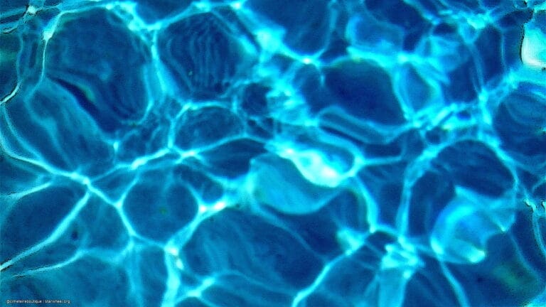 Kurbis Ol, To Die For 