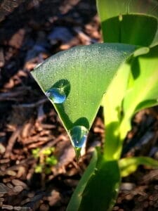 Pray for me STARWHEEL Pray for me STARWHEEL