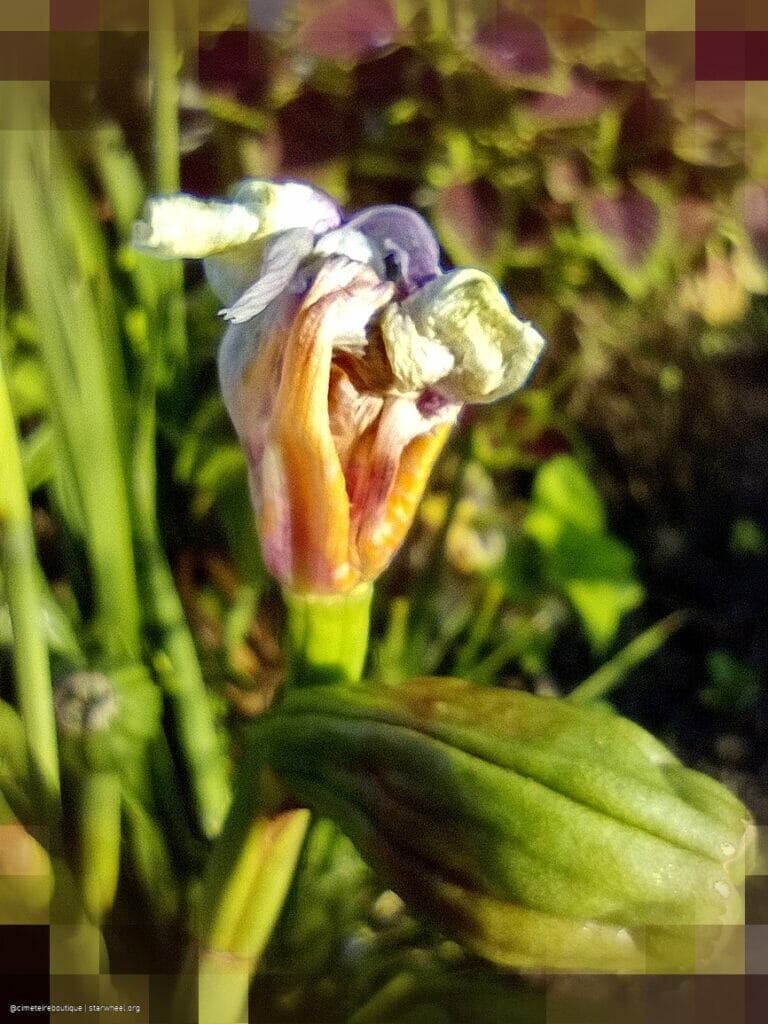 Thy Name is Thy Armor 