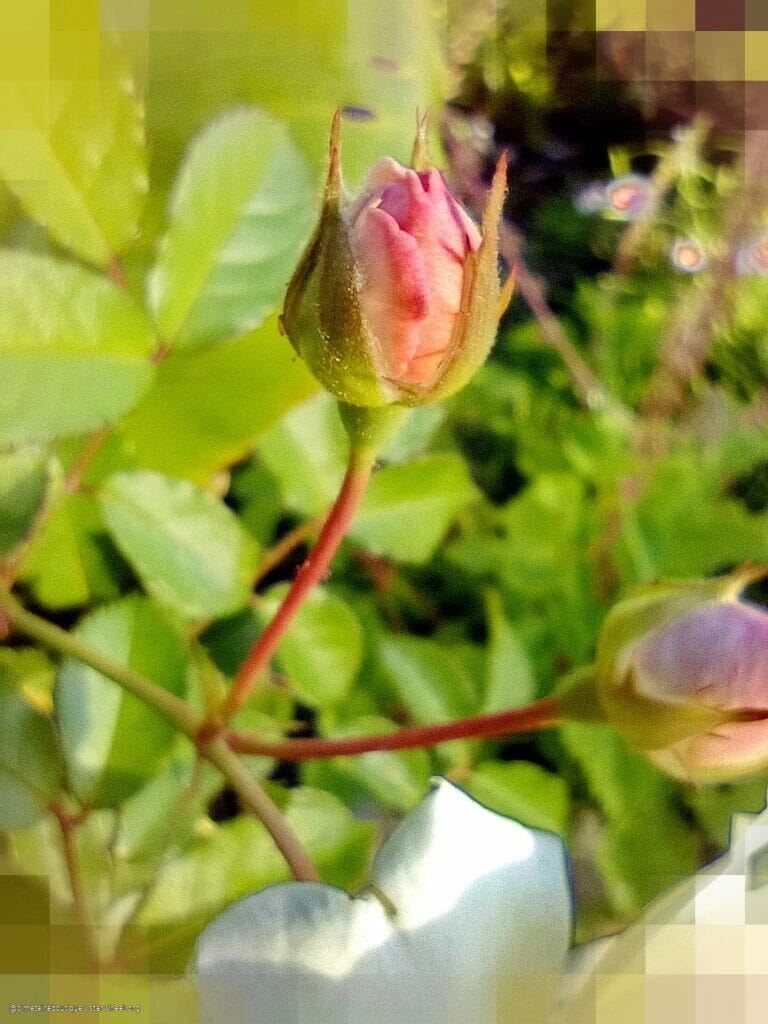 Thy Name is Thy Armor 