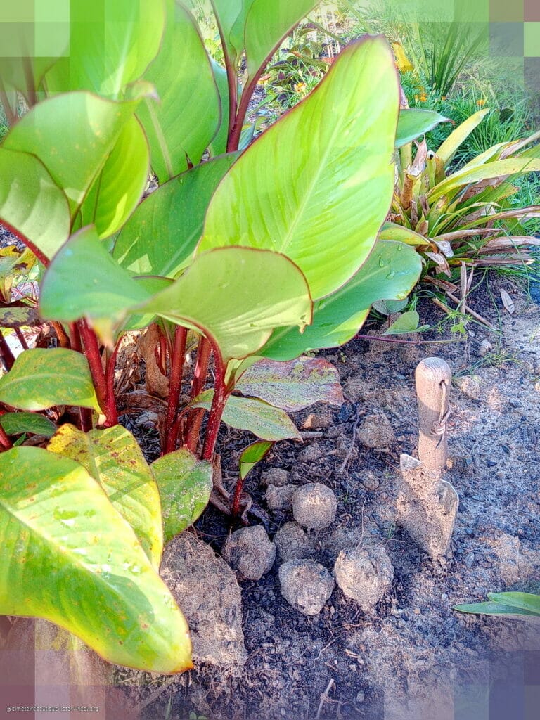 Thy Name is Thy Armor 