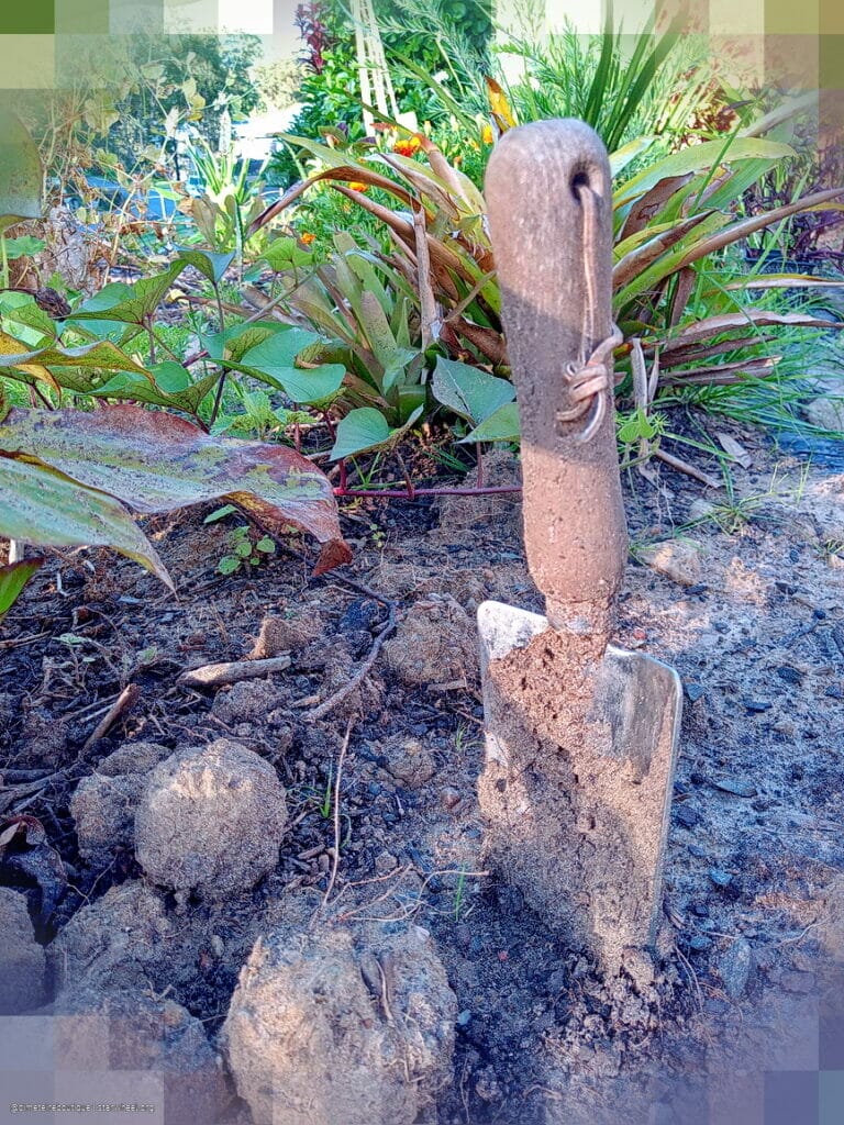 Thy Name is Thy Armor 