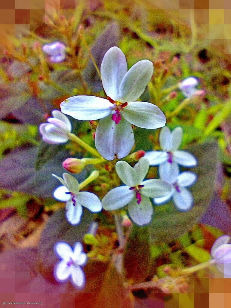 Thy Name is Thy Armor 