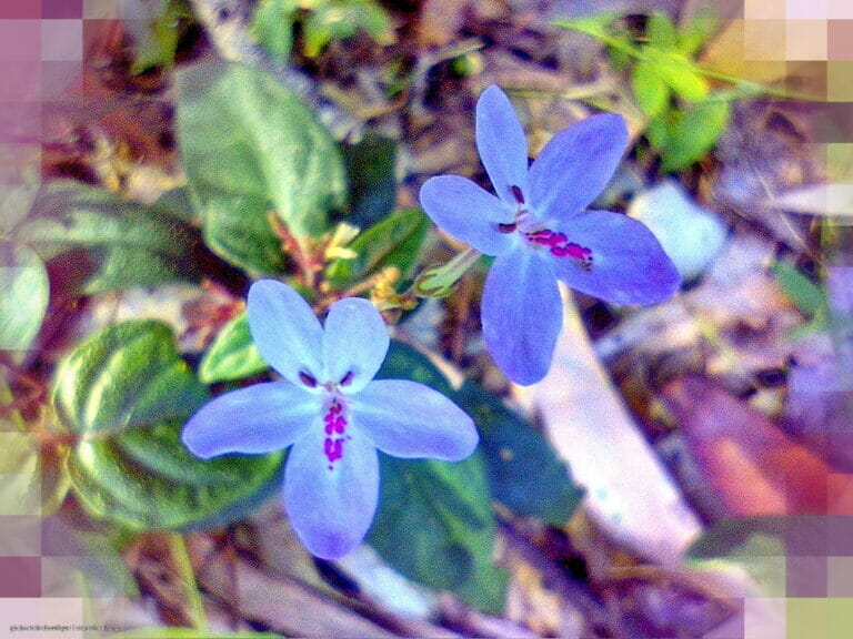 Thy Name is Thy Armor 