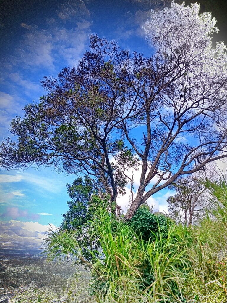 It's an iPhone's Fault 