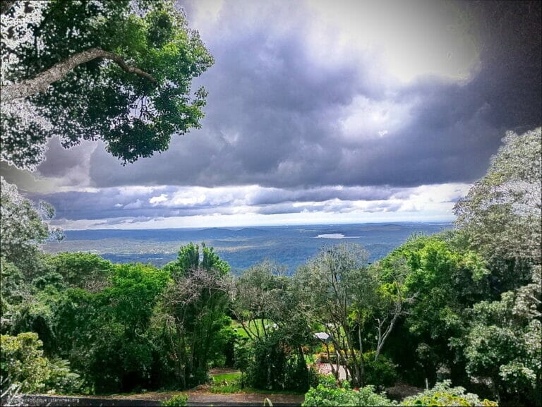 It's an iPhone's Fault 