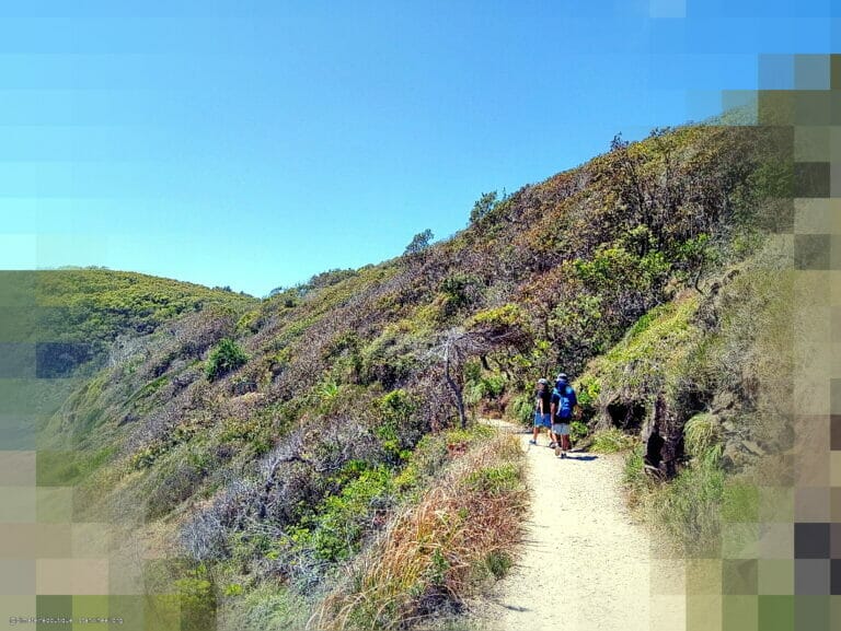 Our Thoughts Have Been 