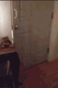 Out of Human Kindness, Beware! STARWHEEL Out of Human Kindness, Beware! STARWHEEL