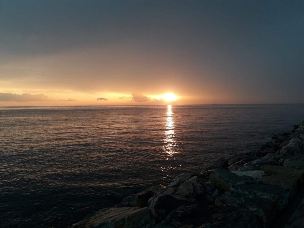 Starinarija in Sari STARWHEEL Starinarija in Sari STARWHEEL