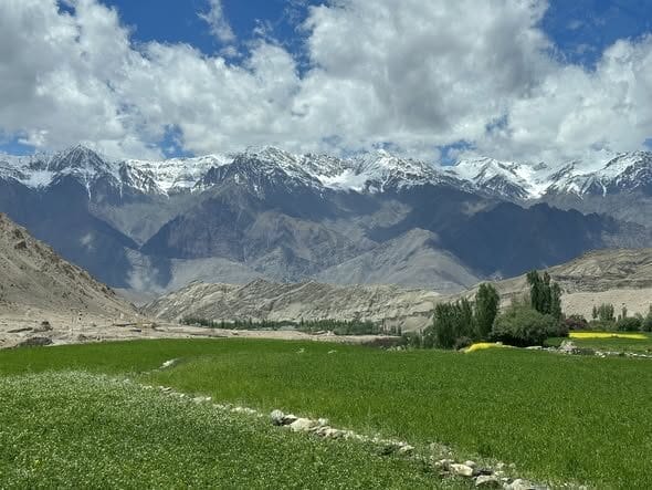 Double Shot Barrel Shotgun and a Matchbox Phoenix STARWHEEL Double Shot Barrel Shotgun and a Matchbox Phoenix STARWHEEL