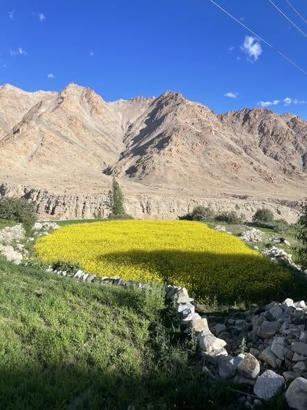 Double Shot Barrel Shotgun and a Matchbox Phoenix STARWHEEL Double Shot Barrel Shotgun and a Matchbox Phoenix STARWHEEL