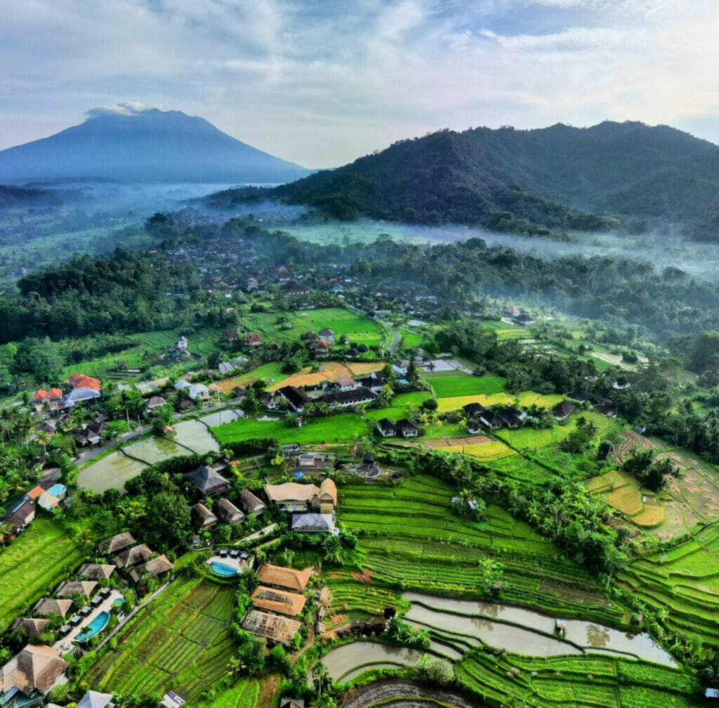 Kiss Kiss Hyang Vidi Vasa STARWHEEL Kiss Kiss Hyang Vidi Vasa STARWHEEL