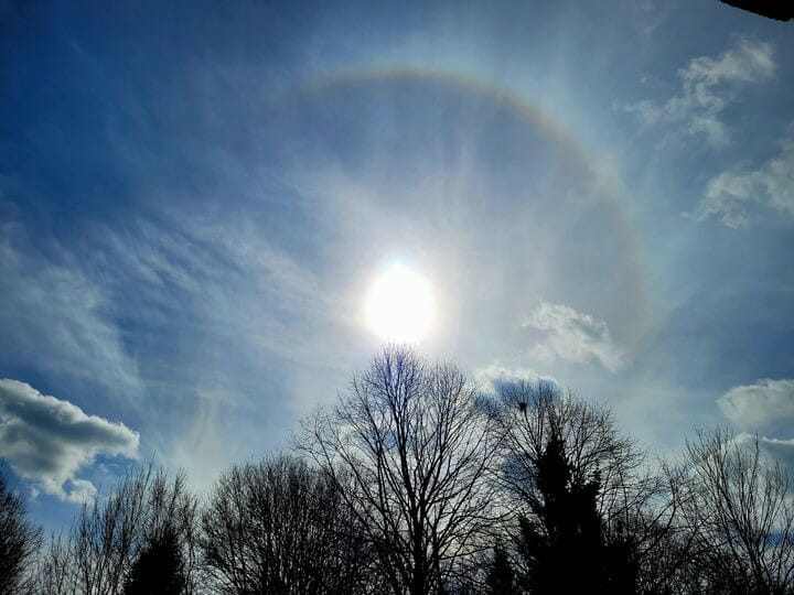 If Anyone, But a Squirrel? STARWHEEL If Anyone, But a Squirrel? STARWHEEL