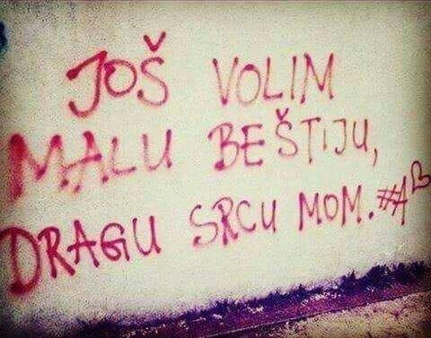 Accidental Talmudist, Entrapped STARWHEEL Accidental Talmudist, Entrapped STARWHEEL