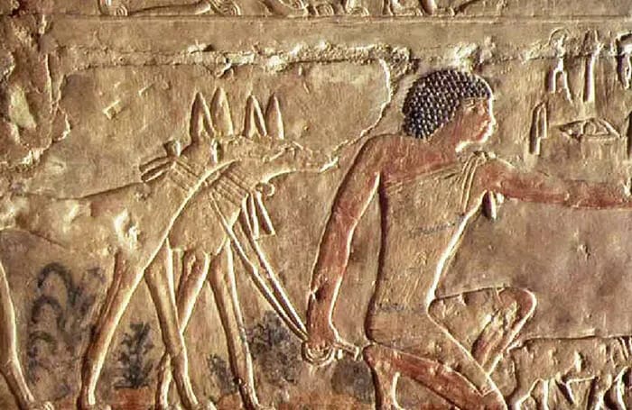 From The Original Books of Eunuch STARWHEEL From The Original Books of Eunuch STARWHEEL