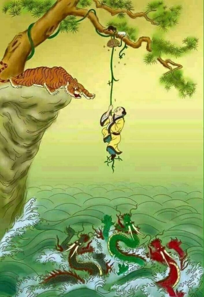 Datura Andromeda STARWHEEL