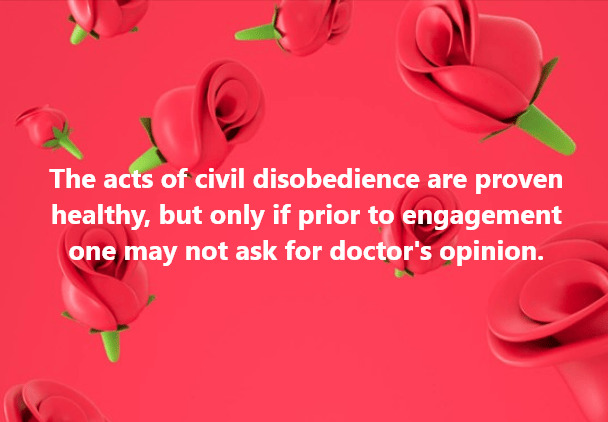 Celeia & Kondalilla, Undo & Exit STARWHEEL Celeia & Kondalilla, Undo & Exit STARWHEEL