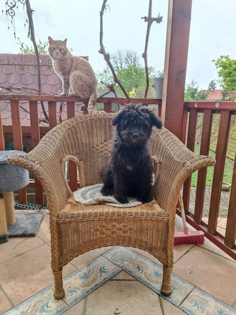 Broj koji ste birali je nepostoječi STARWHEEL Broj koji ste birali je nepostoječi STARWHEEL