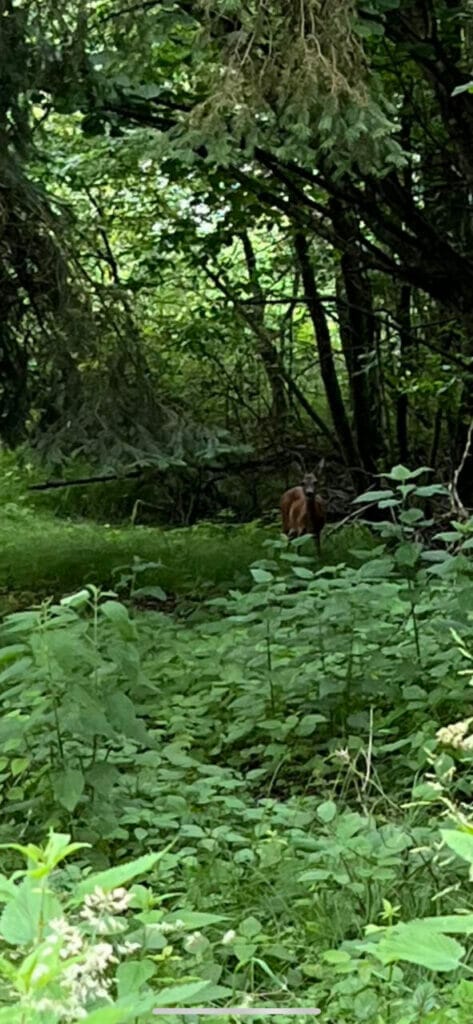 Alfred Hitchcock Said: Maybe it seems like happiness STARWHEEL Alfred Hitchcock Said: Maybe it seems like happiness STARWHEEL