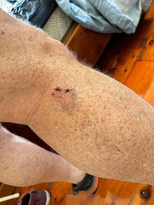 WHO LET CHEWY STARWHEEL WHO LET CHEWY STARWHEEL