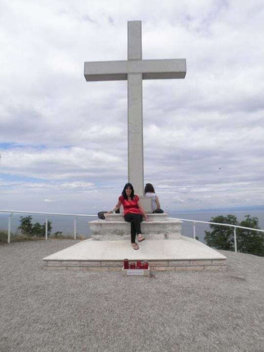 Arhetipi in kolektivno nezavedno: Drevo naj se nikdar ne poseka STARWHEEL Arhetipi in kolektivno nezavedno: Drevo naj se nikdar ne poseka STARWHEEL