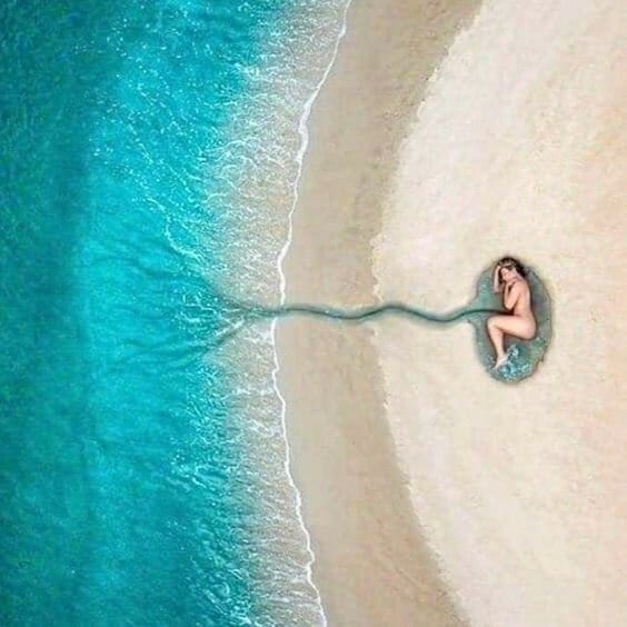 Obsojena na dolgo slovo STARWHEEL Obsojena na dolgo slovo STARWHEEL