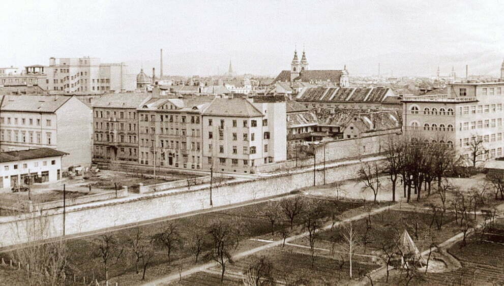 Arhetipi in kolektivno nezavedno: Drevo naj se nikdar ne poseka STARWHEEL Arhetipi in kolektivno nezavedno: Drevo naj se nikdar ne poseka STARWHEEL