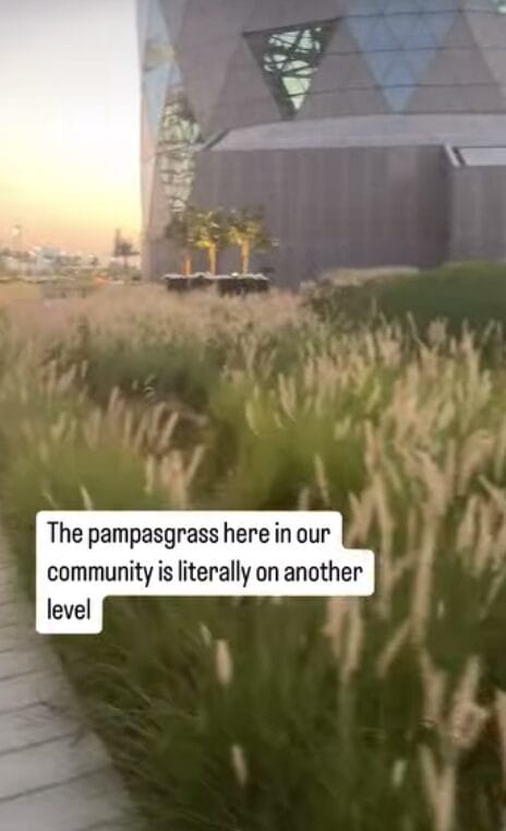 Heavily Contaminated by a Happy Wednesday STARWHEEL Heavily Contaminated by a Happy Wednesday STARWHEEL