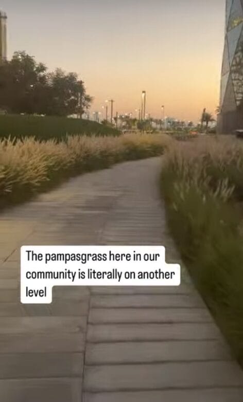 Heavily Contaminated by a Happy Wednesday STARWHEEL Heavily Contaminated by a Happy Wednesday STARWHEEL