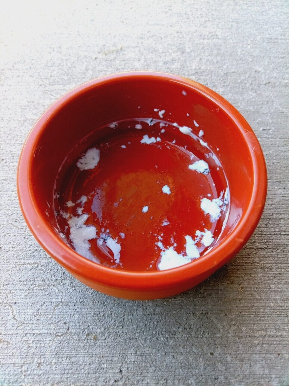 Momordica charantia: The Bitter Fruit of the Great Night