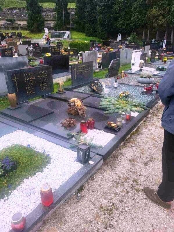 Pflasterlecken STARWHEEL Pflasterlecken STARWHEEL