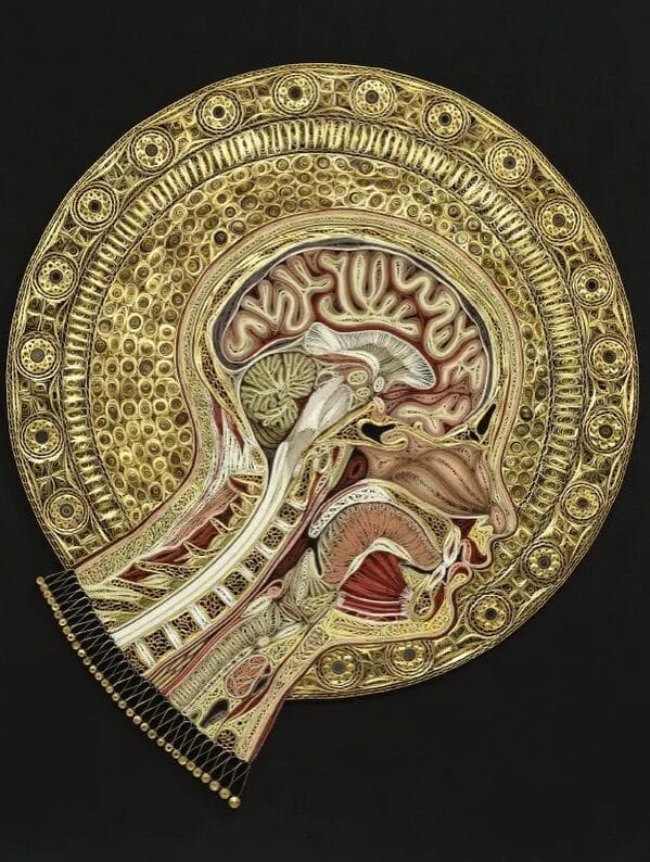 Das Schweigen brechen, die Masken fallen lassen STARWHEEL Das Schweigen brechen, die Masken fallen lassen STARWHEEL