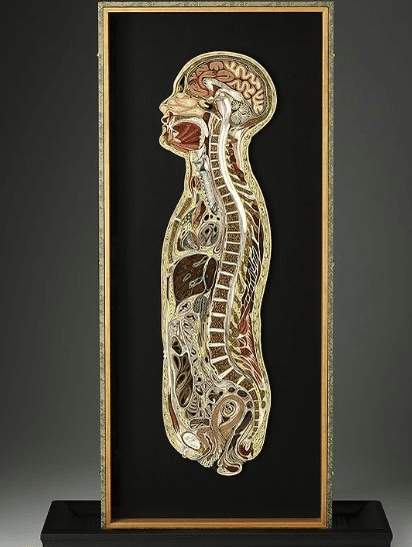 Das Schweigen brechen, die Masken fallen lassen STARWHEEL Das Schweigen brechen, die Masken fallen lassen STARWHEEL