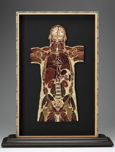 Das Schweigen brechen, die Masken fallen lassen STARWHEEL Das Schweigen brechen, die Masken fallen lassen STARWHEEL